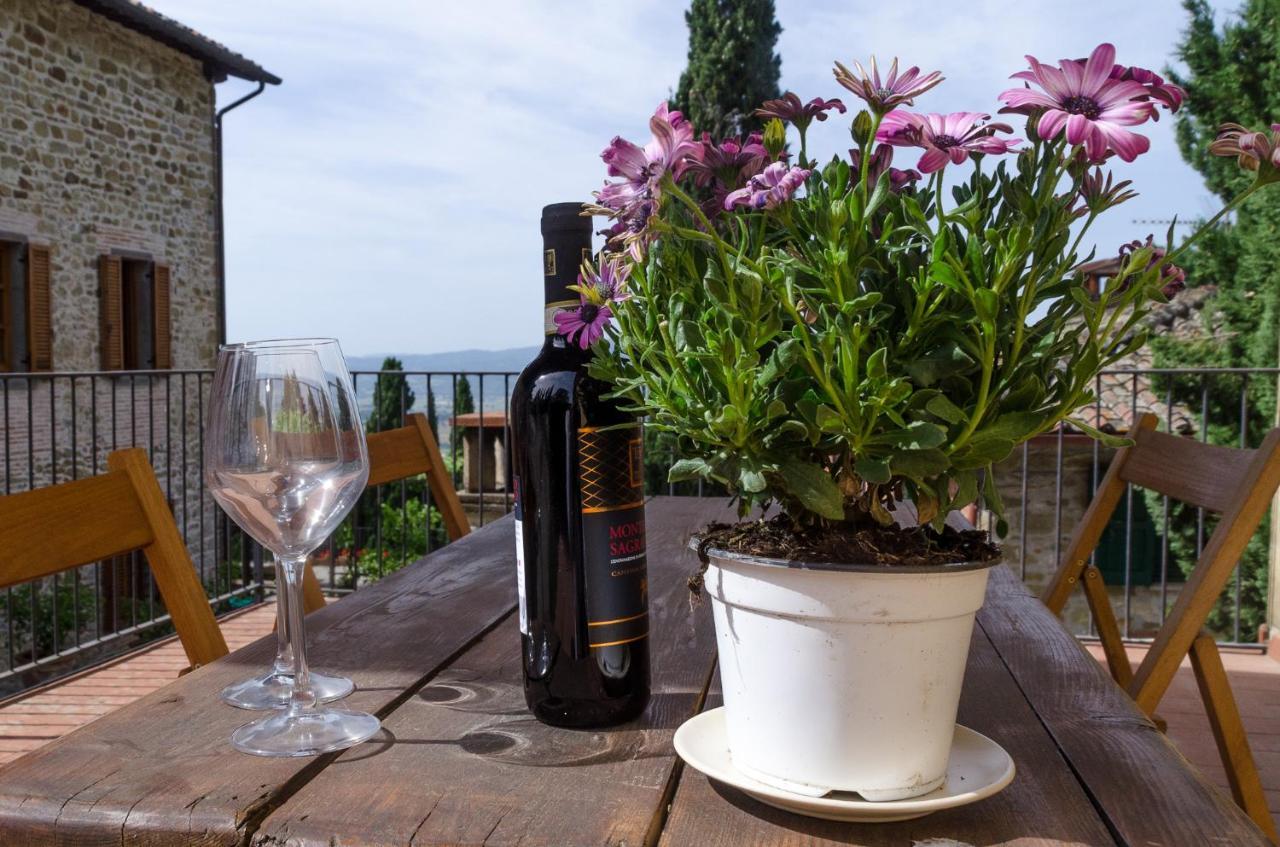 Danya Country Villa Sansepolcro Zewnętrze zdjęcie